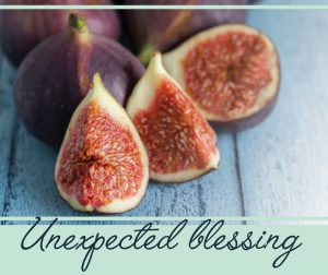 unexpected-blessing-2