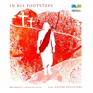 In His Footsteps book cover